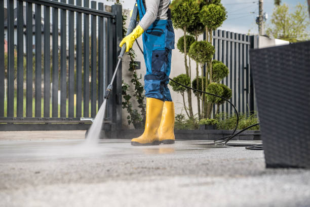 Best Sidewalk Pressure Washing  in Loving, NM